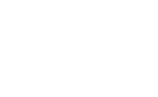 Flash Computer - Cesena